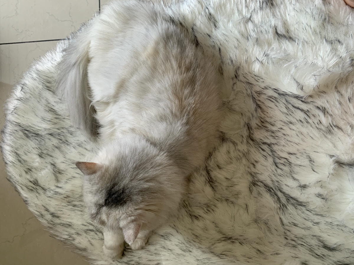 2019淘寶雙11推薦地毯