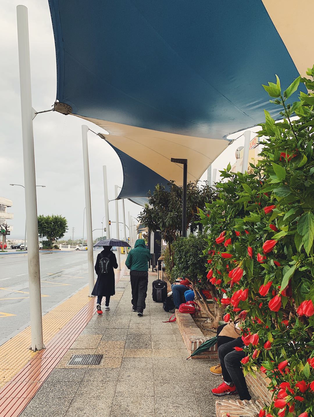 西班牙自助 行程 住宿推薦 內爾哈 Nerja 瑞梭公寓 (Apartamentos RuiSol)白色山城Frigiliana 交通方式9
