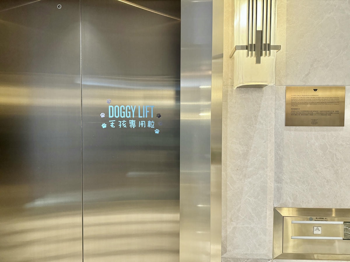 香港寵物友善飯店 酒店 香港維港凱悅尚萃酒店 Hyatt Centric Victoria Harbour