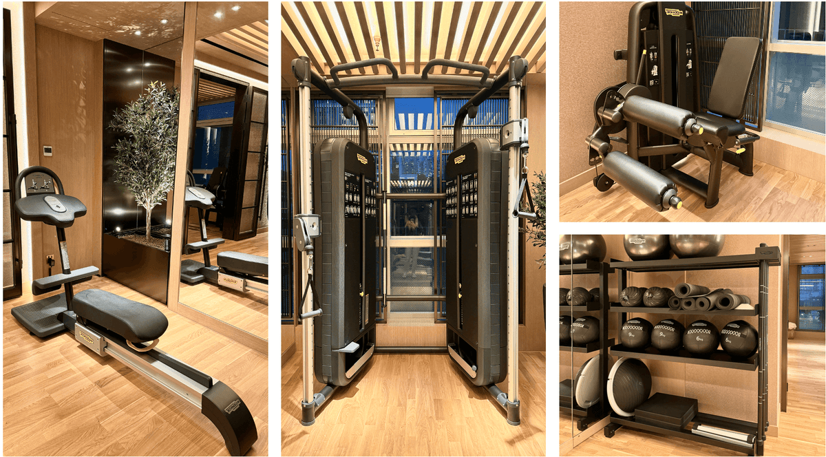 逸蘭銅鑼灣酒店Lanson Place Causeway Bay gym 健身房