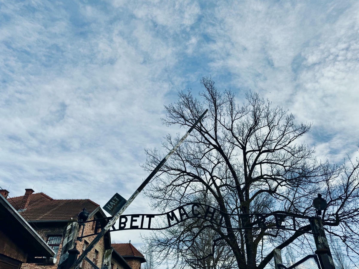 奧斯威辛集中營 電影 Arbeit macht frei 勞動帶來自由