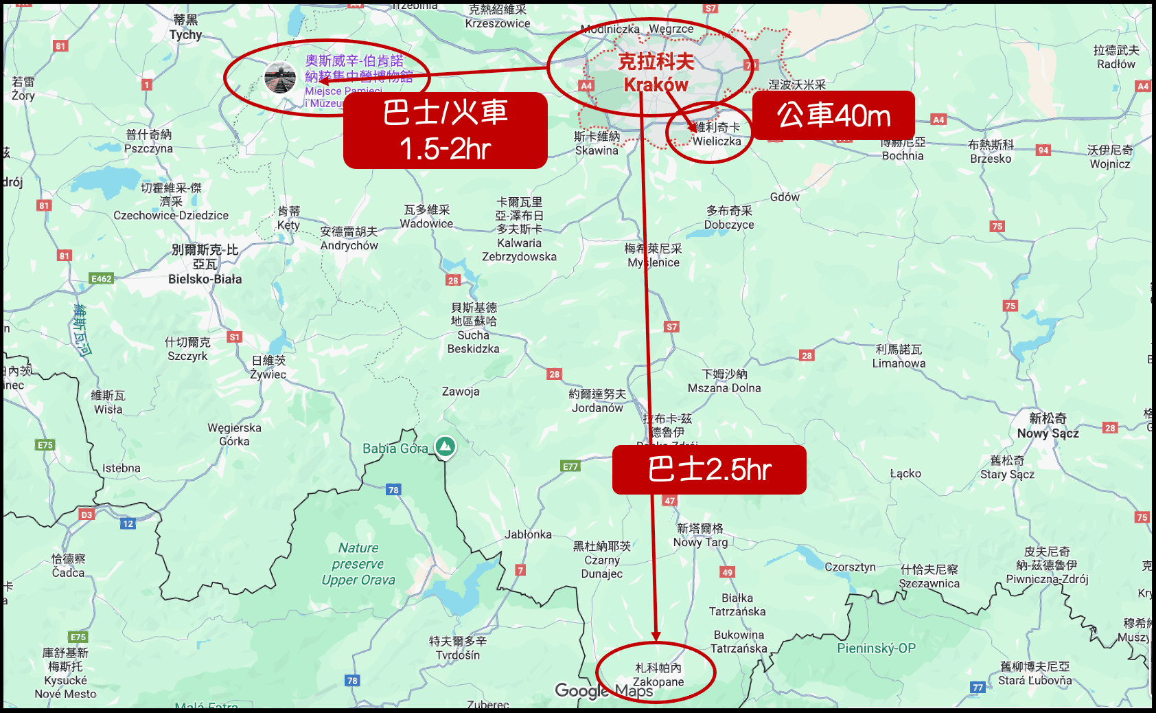 波蘭自由行|克拉科夫景點地圖——四天三夜探索舊城、卡齊米日區與近郊遺跡 - 第2張圖 克拉科夫 維利奇卡鹽礦 奧斯威辛集中營 札科帕內 交通